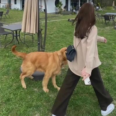 狐蝠